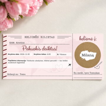 Kelionės bilietas - rožinis